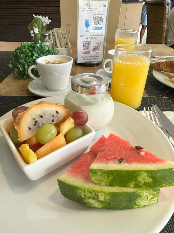 REVIEW: Acoya Resort Curaçao, op vakantie met privé zwembad