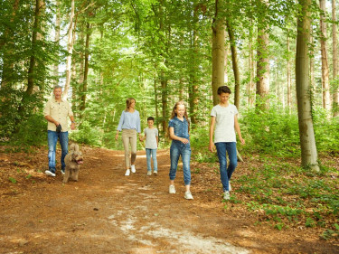 Landal Drentse Lagune