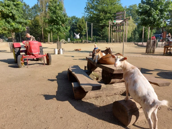 Kinderen spelen tussen de geiten bij kinderboerderij op een Center Parcs park