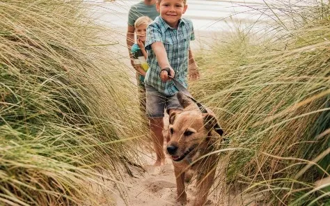 Weekendje weg aan zee met hond