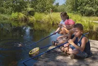 recently watched image