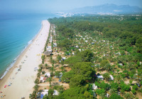 recently watched image