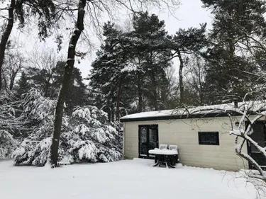 Hoofdafbeelding winter.jpg