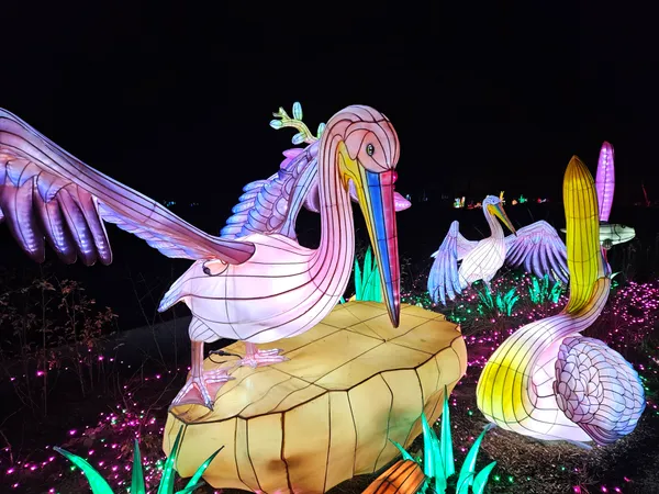 Beleef de magie van Light Safari Beekse Bergen