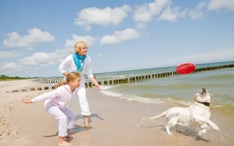 Glamping met hond Zeeland
