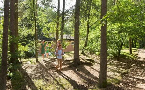 Met Landal last minute naar de Veluwe 