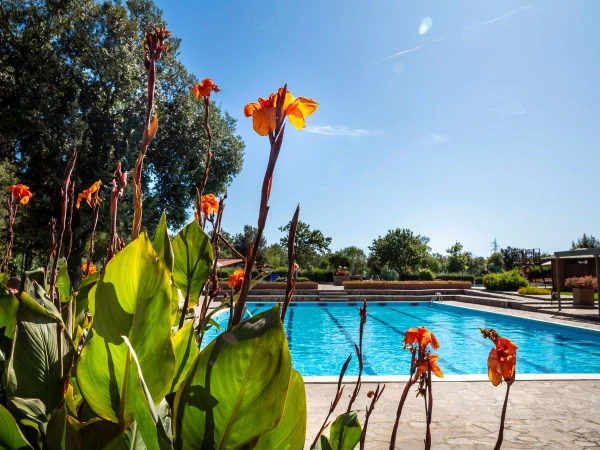 hu Montescudaio village