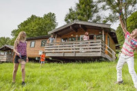 recently watched image