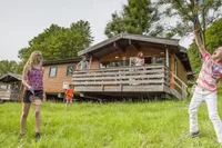 recently watched image