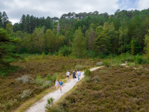 Residence Berger Duinen