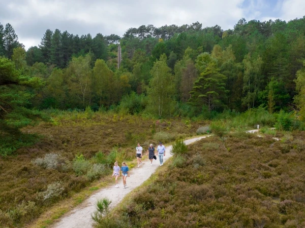 Residence Berger Duinen