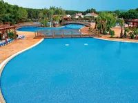 recently watched image