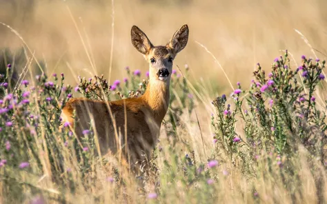 Natuur ontdekken