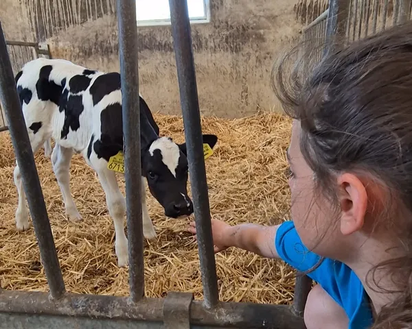REVIEW: Offline genieten tussen de koeien bij De Oude Melkstal