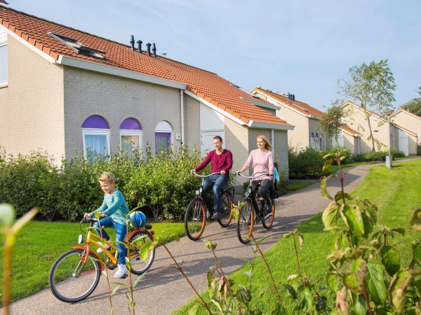 vakantiepark-de-soeten-haert (2).jpg