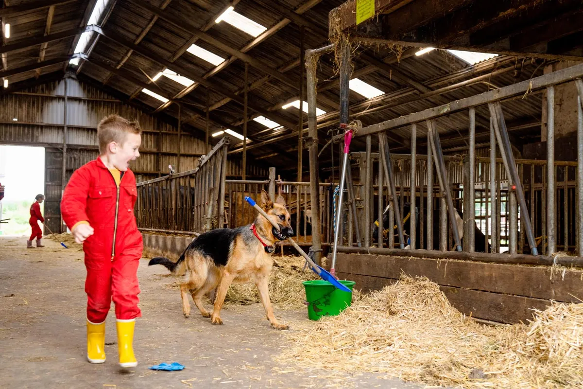 FarmCamps t Looveld Drenthe spelen in de stal jongen hond met schep overalletje hooi.jpg