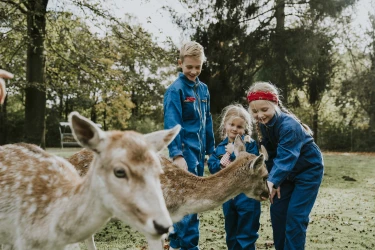 Kinderen aaien vriendelijk hert in natuurrijke omgeving Vakantiepark Dierenbos