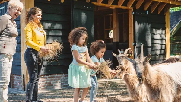 vakantiepark-efteling-loonsche-land (3).jpg