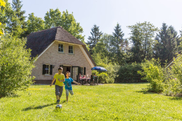 land-van-bartje (25).jpg