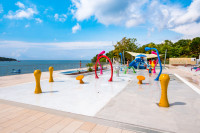 recently watched image