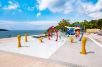 recently watched image