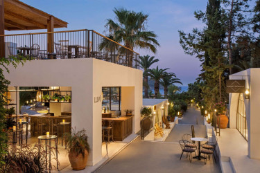 club-marvy-by-paloma (10).jpg