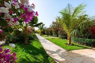 Hotel Royal Horizons Baobab - tuin