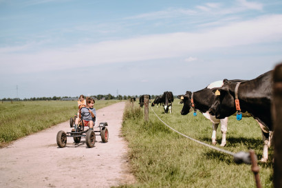 Camping Wedderbergen