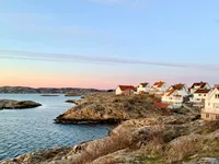 recently watched image