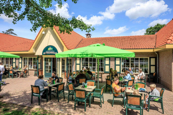 preprocessed (5).jpg