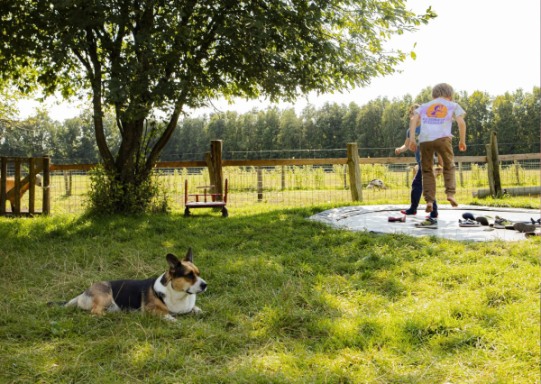 BoerenBed De Lange Weide