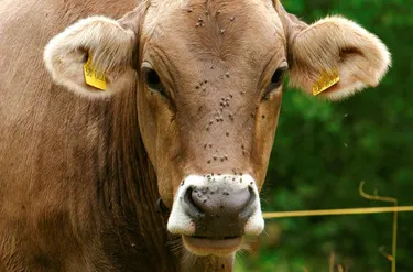 Sonnhof's Ferienresidenz