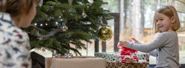 Vakantiepark met kerstboomservice