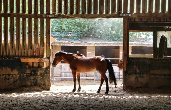 BoerenBed Ecuries de Gapennes