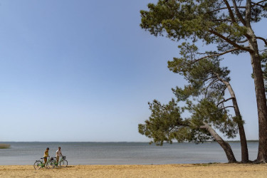 Camping Sanguinet Plage