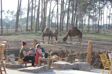 Safari Resort Beekse Bergen