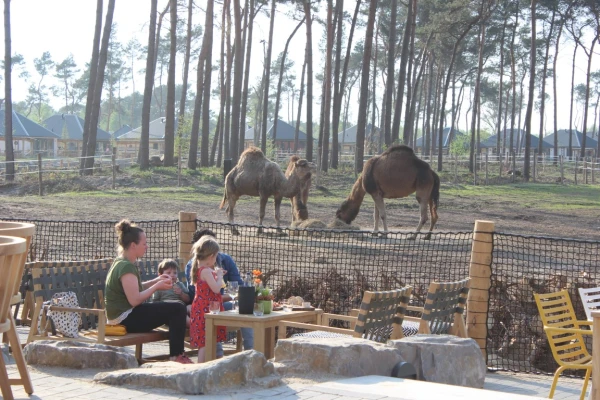 Safari Resort Beekse Bergen