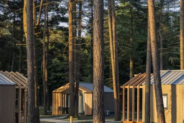 Roompot Bospark 't Wolfsven 