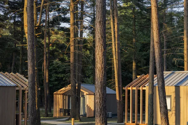 Roompot Bospark 't Wolfsven 