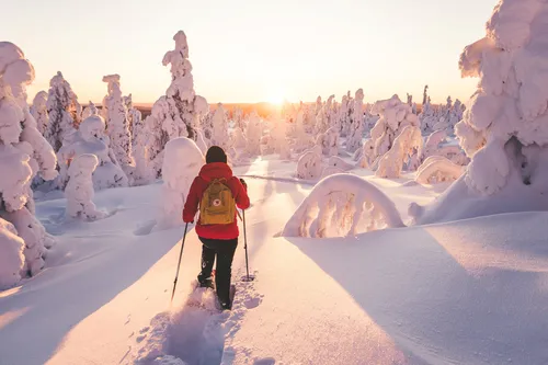 Scandinavië: winter wonderland