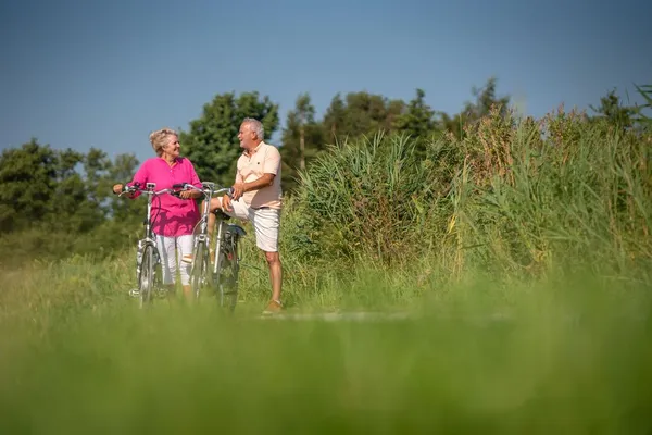 Landal De Wedderplassen