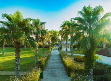 Euphoria Palm Beach Resort