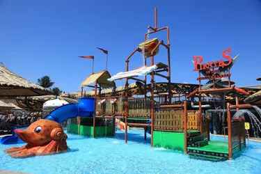 Hotel Cactus Fleur Beach Club