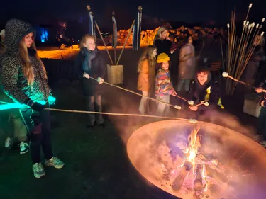 Beleef de magie van Light Safari Beekse Bergen