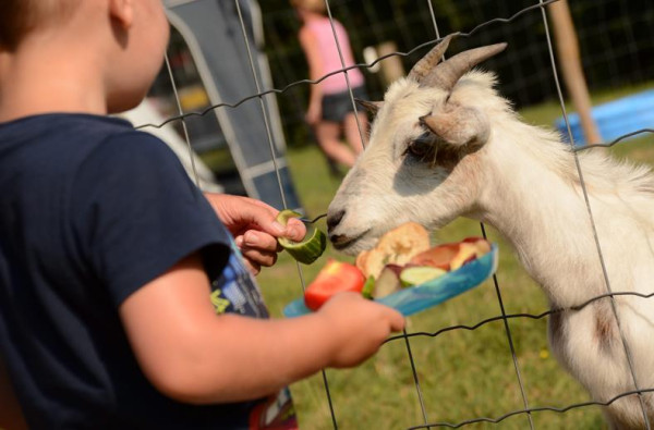Camping Village de la Guyonniere