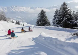 Kinderen rodelen op een slee van de berg af in Serfaus-Fiss-Ladis