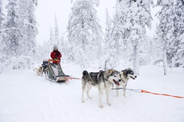 Winter Adventure Levi