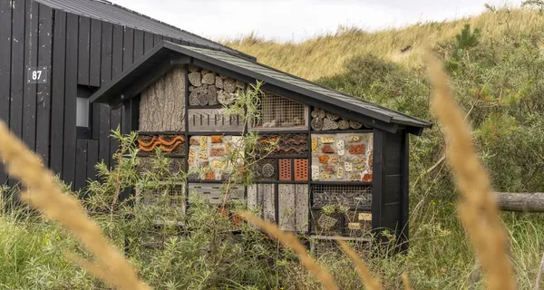 Vakantiepark Zandvoort