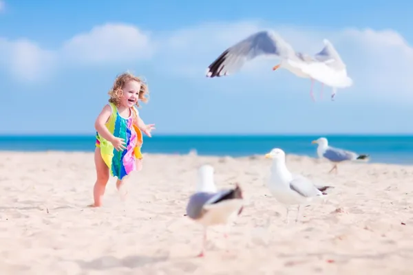 vakantiepark-boomhiemke (4).jpg