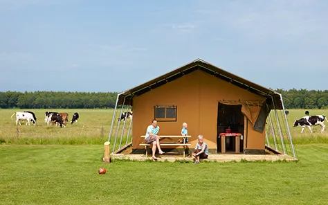 Glamping Drenthe